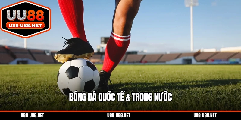 Bóng đá quốc tế & trong nước