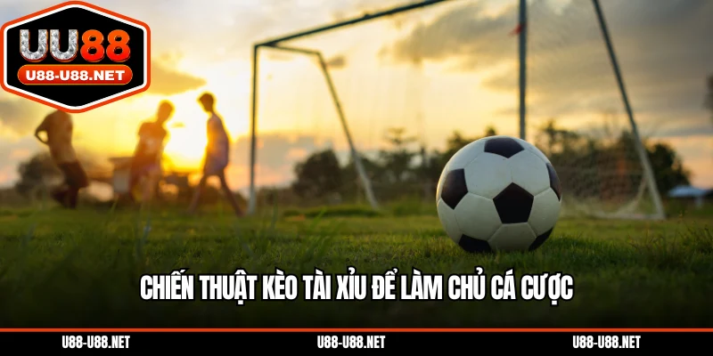 Chiến thuật kèo tài xỉu để làm chủ cá cược