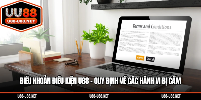 Điều khoản điều kiện