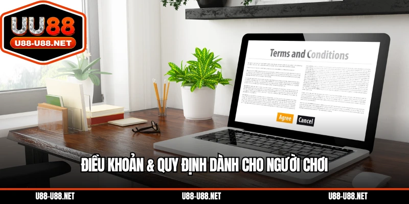 Điều Khoản & Quy Định Dành Cho Người Chơi