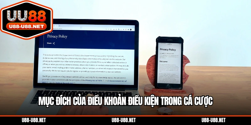 Mục đích của điều khoản điều kiện trong cá cược