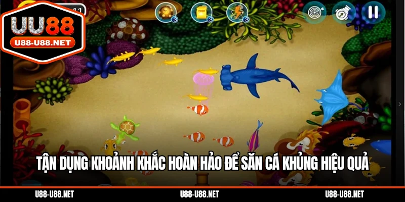 Tận dụng khoảnh khắc hoàn hảo để săn cá khủng hiệu quả