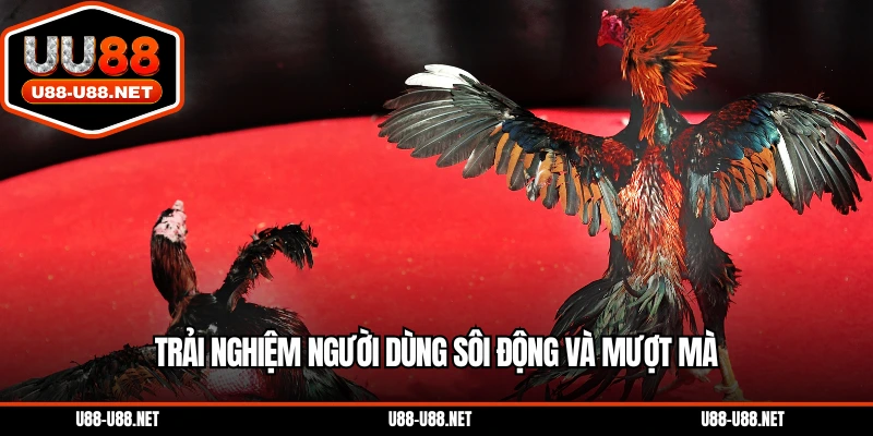 Người dùng trải nghiệm sôi động và mượt mà